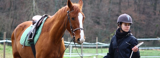 métiers du cheval